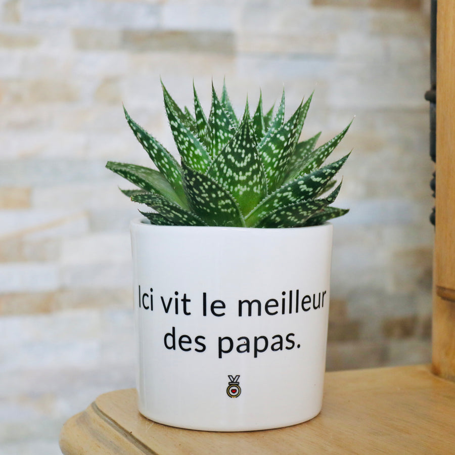 pot de fleurs personnalisé le meilleur des papas