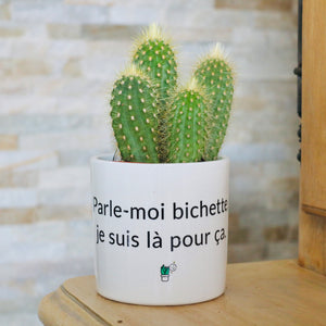 cadeau original
