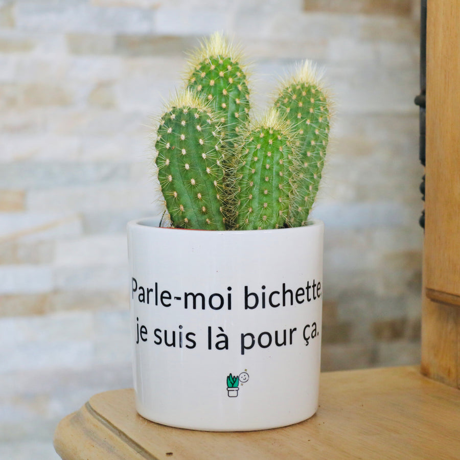 cadeau original