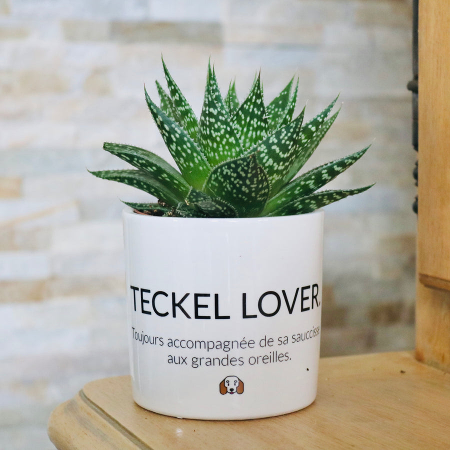 idée cadeau fan de teckel