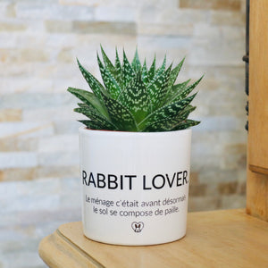 cadeau original amoureux des lapins