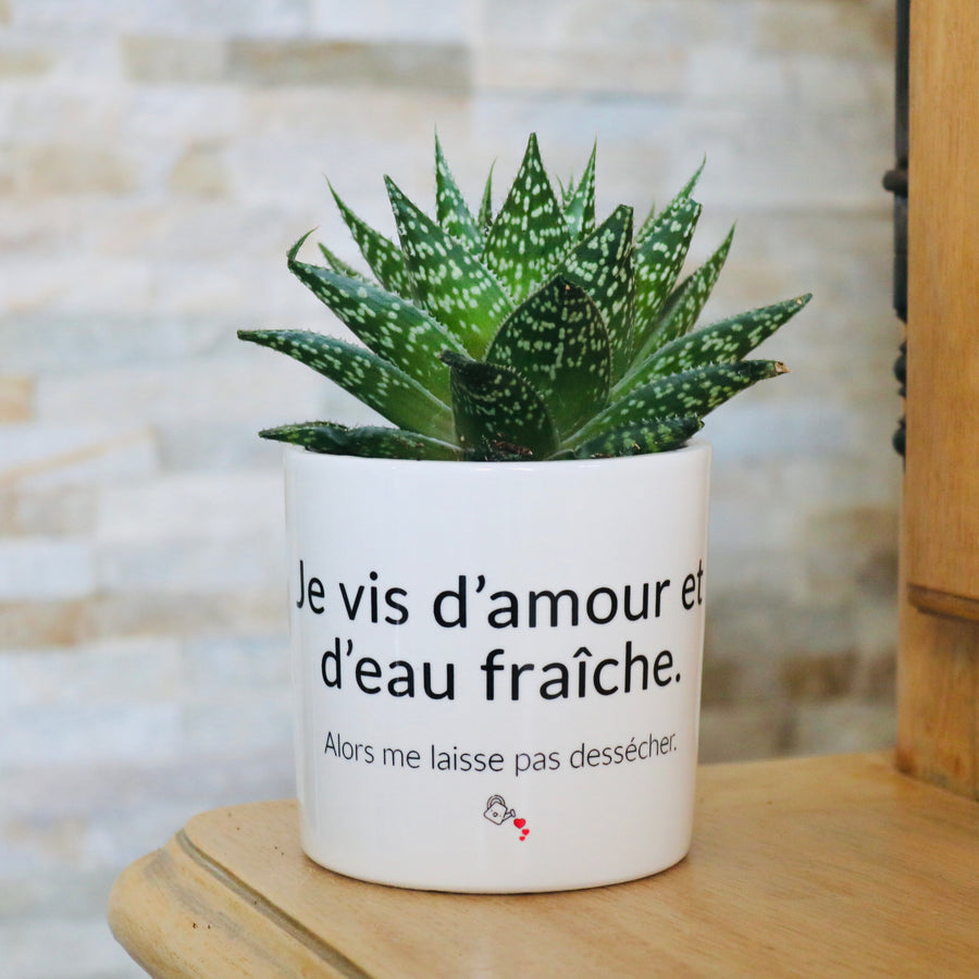 cadeau original