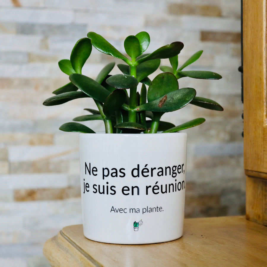 Pot de fleurs - Ne pas déranger je suis en réunion