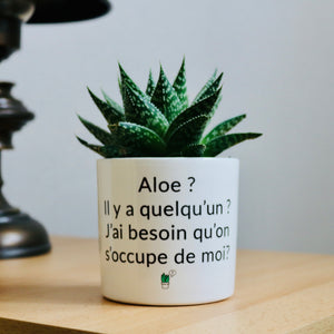 Pot de fleurs personnalisé Aloe il y a quelqu'un