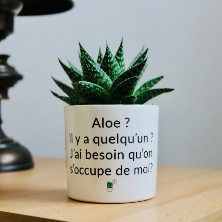 Pot de fleurs personnalisé Aloe il y a quelqu'un