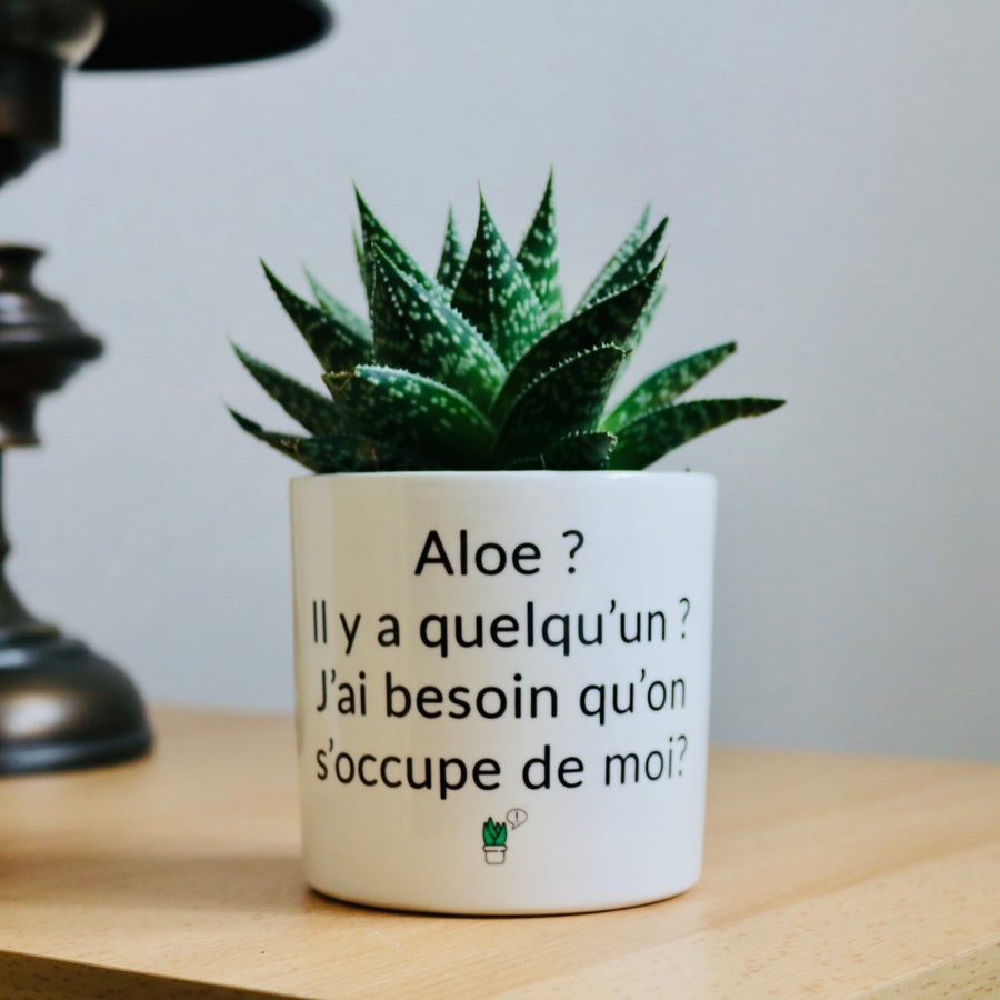 Pot de fleurs personnalisé Aloe il y a quelqu'un