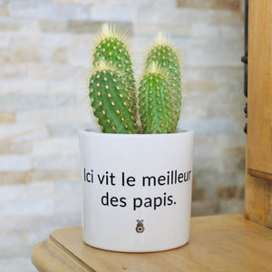 cadeau original papi