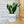 Charger l&#39;image dans la galerie, pot de fleurs original
