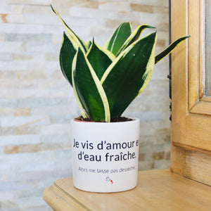 pot de fleurs original