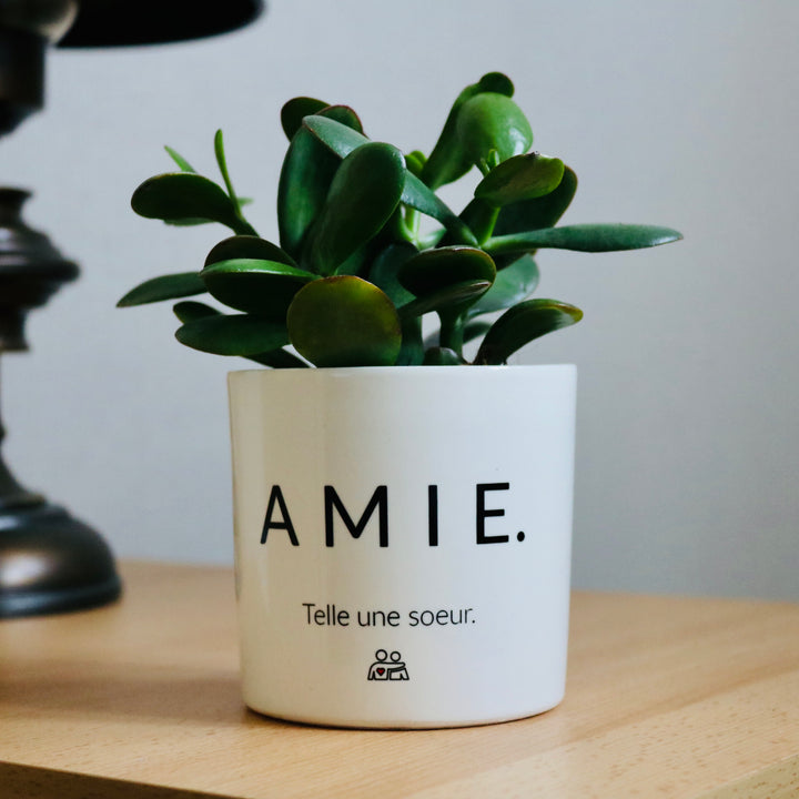 Pot de fleurs personnalisé pour une amie