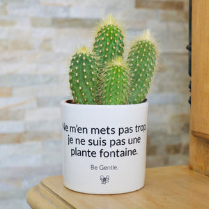 cadeau marrant