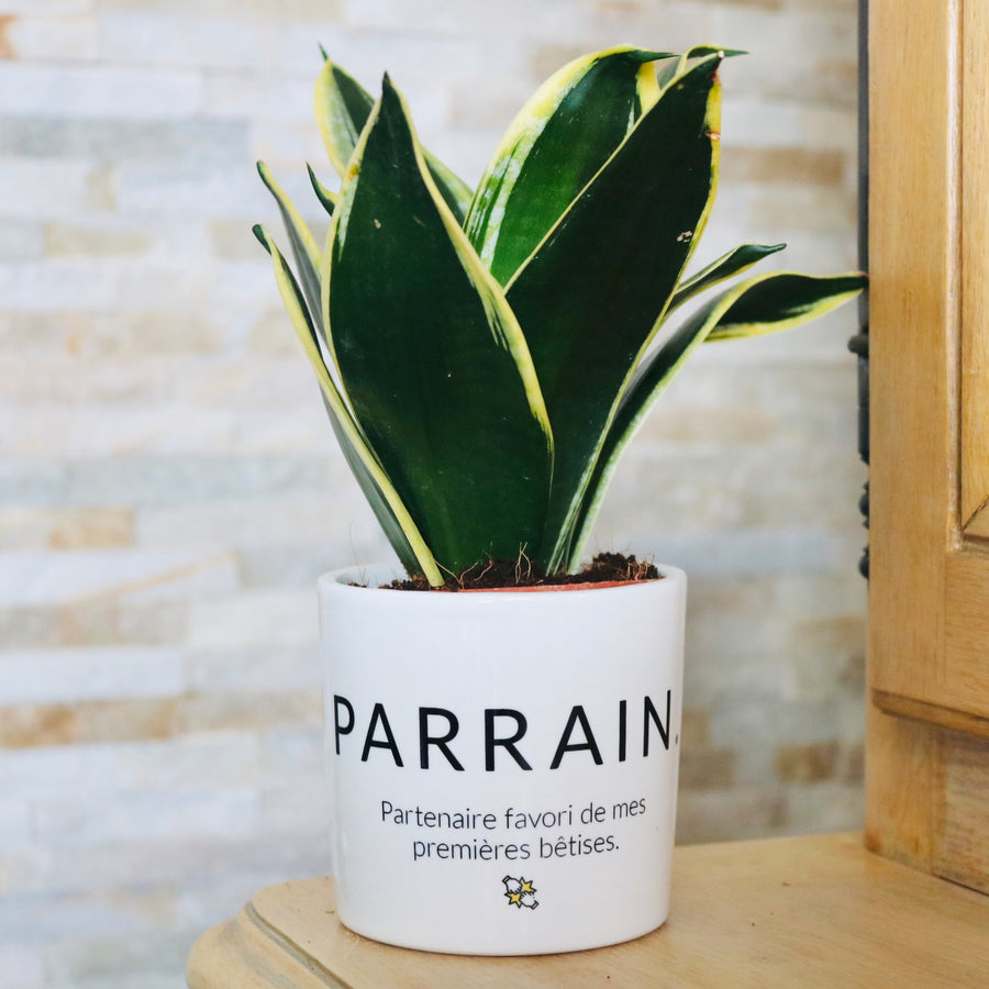sanoa pots - cadeau parrain