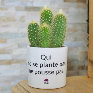 idée cadeau bien être