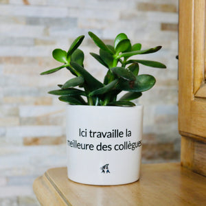 sanoa pots - Ici travaille la meilleure des collègues