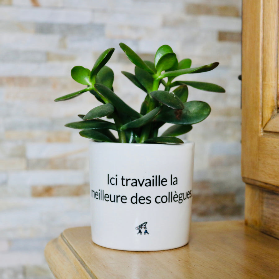 sanoa pots - Ici travaille la meilleure des collègues