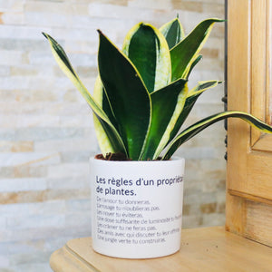 pot de fleurs original