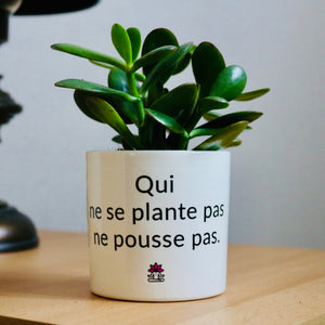 pot de fleurs qui ne se plante pas ne pousse pas