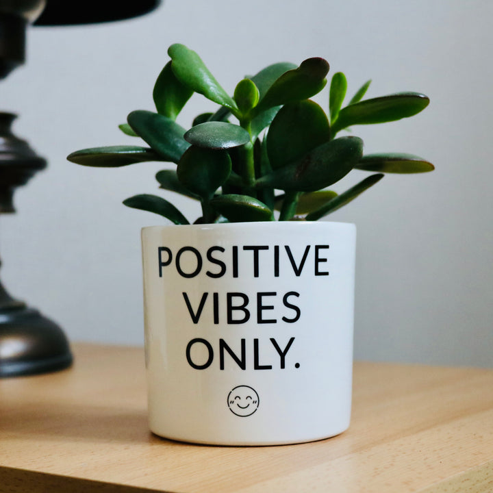 pot de fleurs positive vibes only