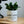 Charger l&#39;image dans la galerie, pot de fleurs rabbit lover
