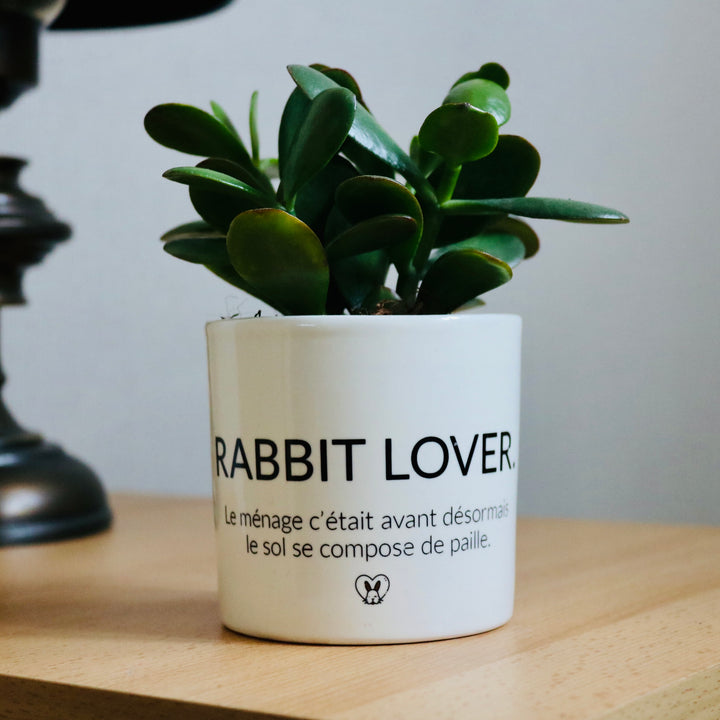 pot de fleurs rabbit lover