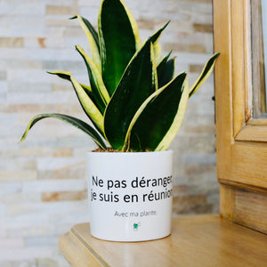 Pot de fleurs - Ne pas déranger je suis en réunion