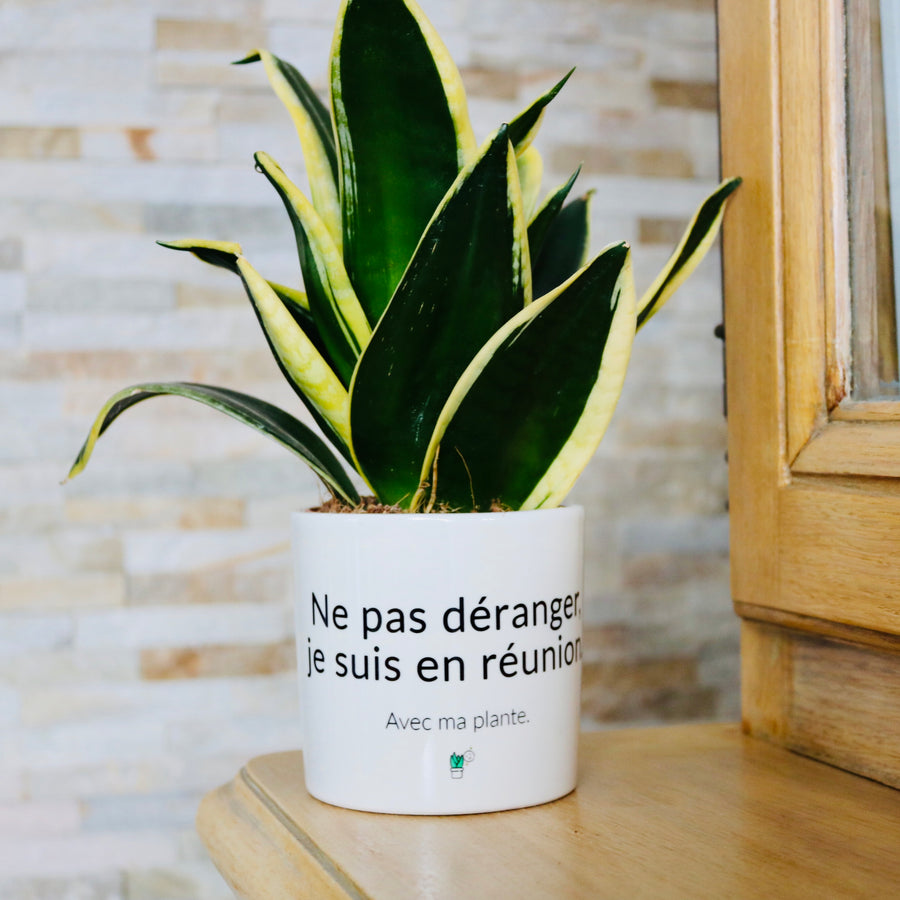 Pot de fleurs - Ne pas déranger je suis en réunion