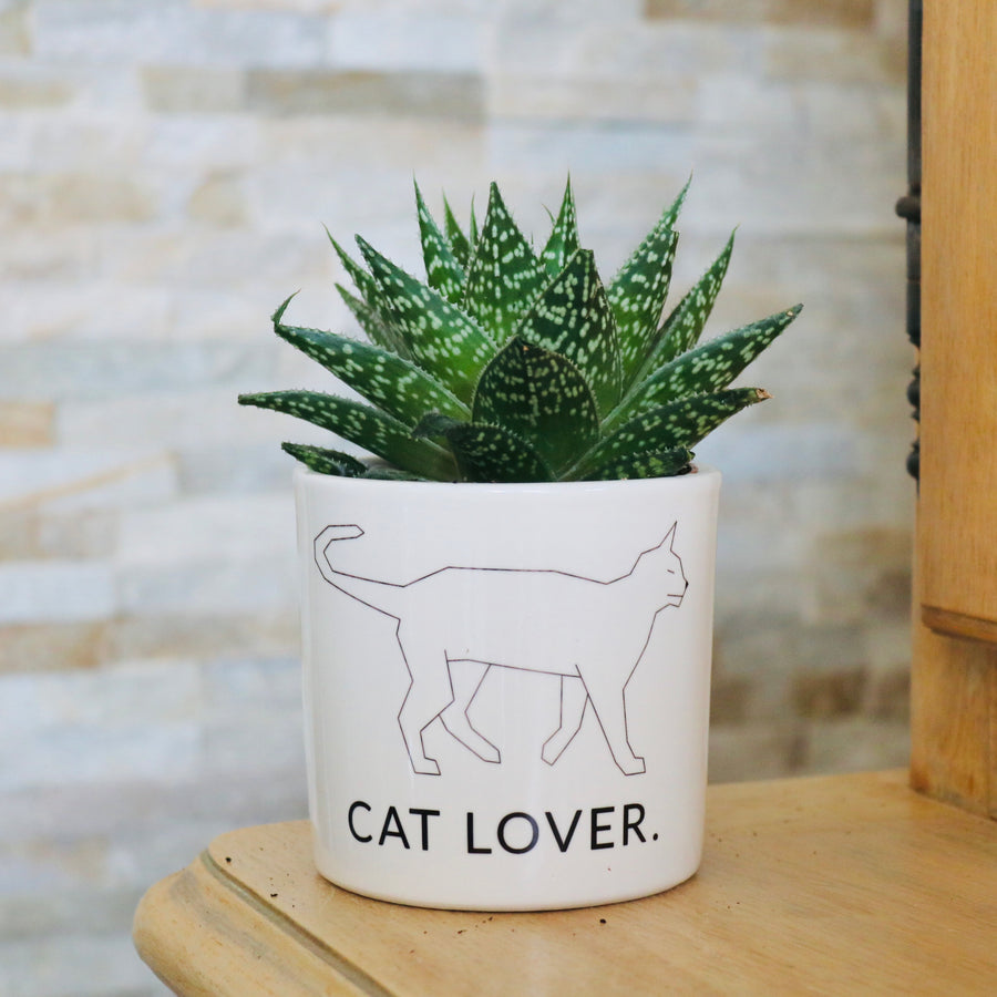 cadeau pour un fan de chat