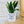 Charger l&#39;image dans la galerie, pot de fleurs original
