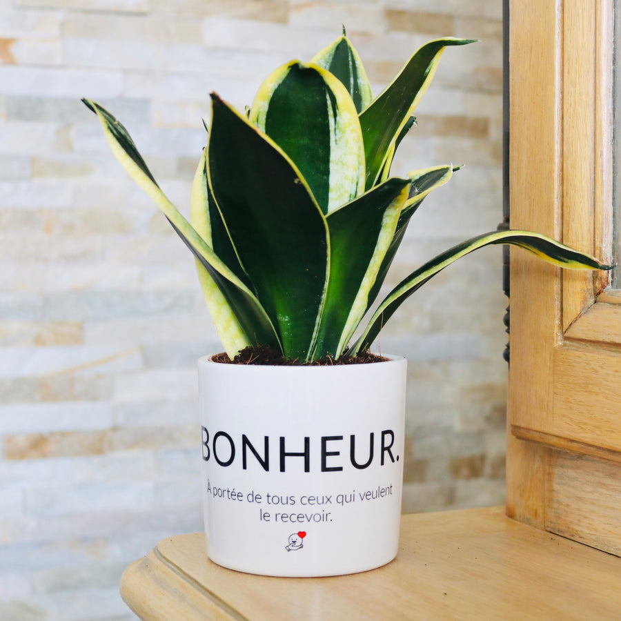 Pot de fleurs personnalisé Bonheur