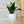 Charger l&#39;image dans la galerie, pot de fleurs personnalisé horse lover
