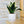 Charger l&#39;image dans la galerie, Pot de fleurs - Design de Cheval.
