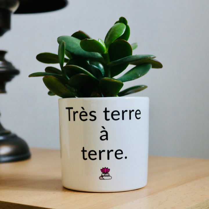 pot de fleurs très terre à terre