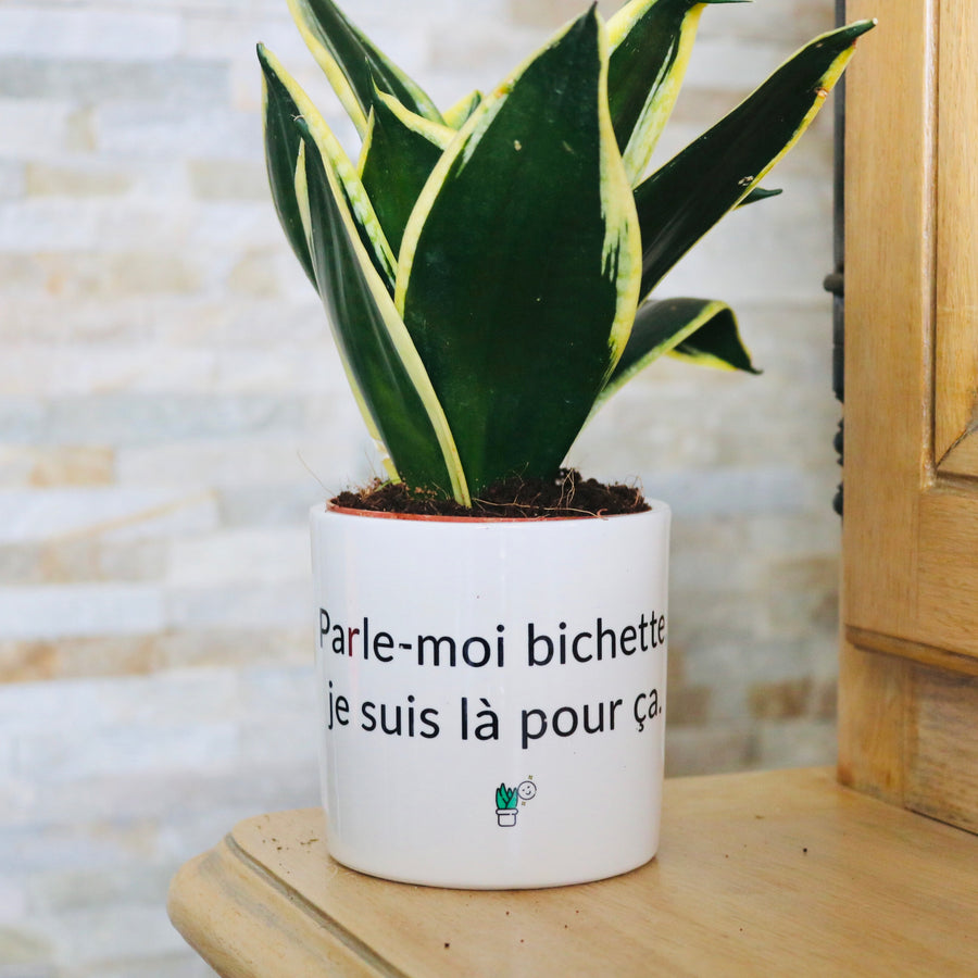 pot de fleurs original