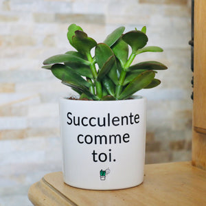 cadeau original