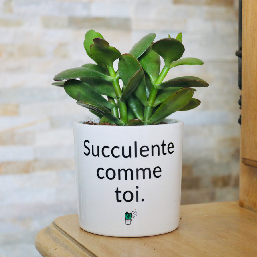 cadeau original