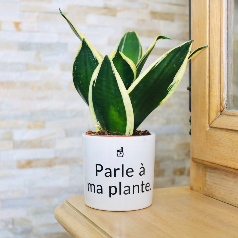 sanoa pots - parle à ma plante