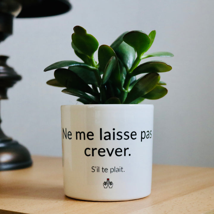 pot de fleurs ne me laisse pas crever