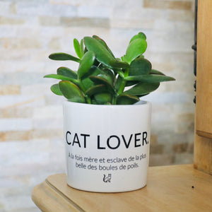 idée cadeau fan de chat