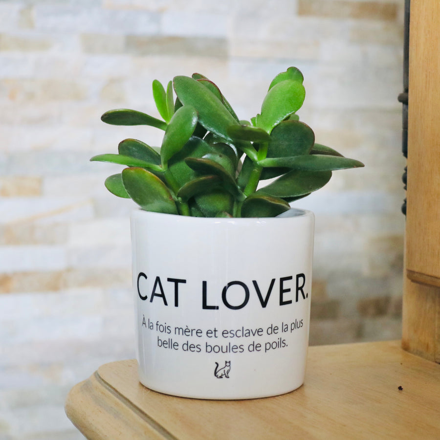 idée cadeau fan de chat