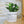 Charger l&#39;image dans la galerie, pot de fleurs personnalisé les règles d&#39;un propriétaire de plantes
