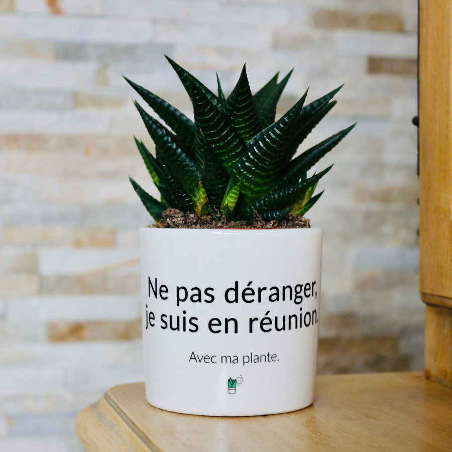 Pot de fleurs - Ne pas déranger je suis en réunion
