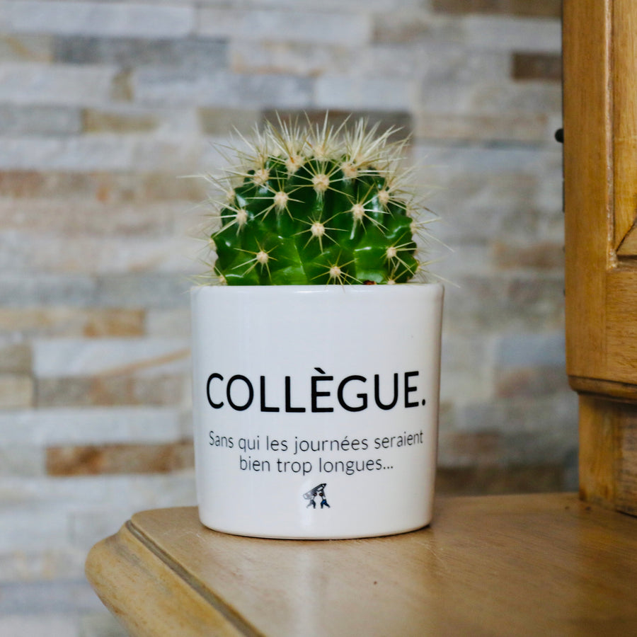 sanoa pots - collègue