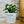 Charger l&#39;image dans la galerie, sanoa pots - collègue
