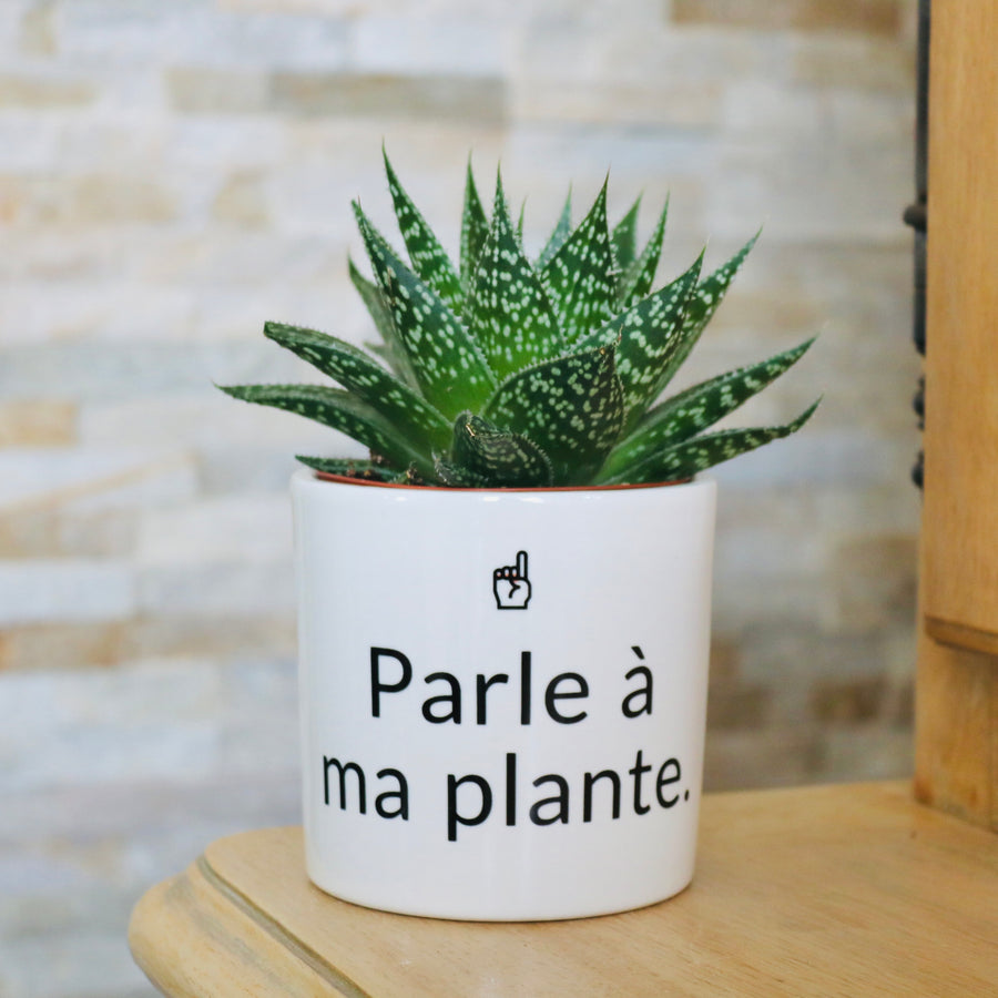 cadeau original