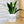 Charger l&#39;image dans la galerie, Pot de fleurs - Ici vit la meilleure des Mamies.
