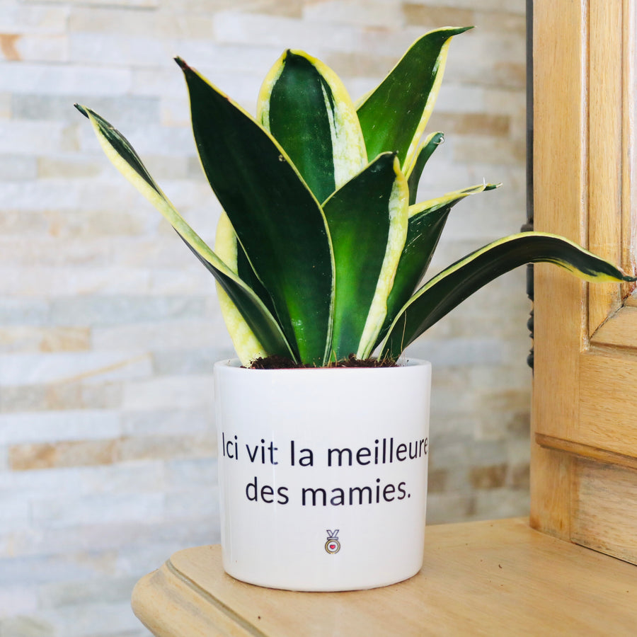 pot de fleurs personnalisé ici vit la meilleur des mamies