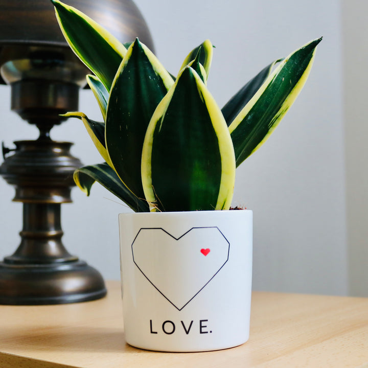 Pot de fleurs personnalisé avec un coeur