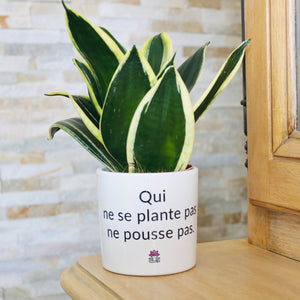pot de fleurs à message original