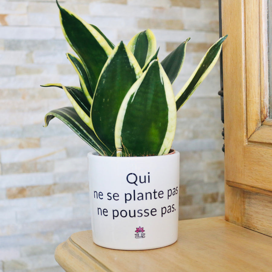 pot de fleurs à message original