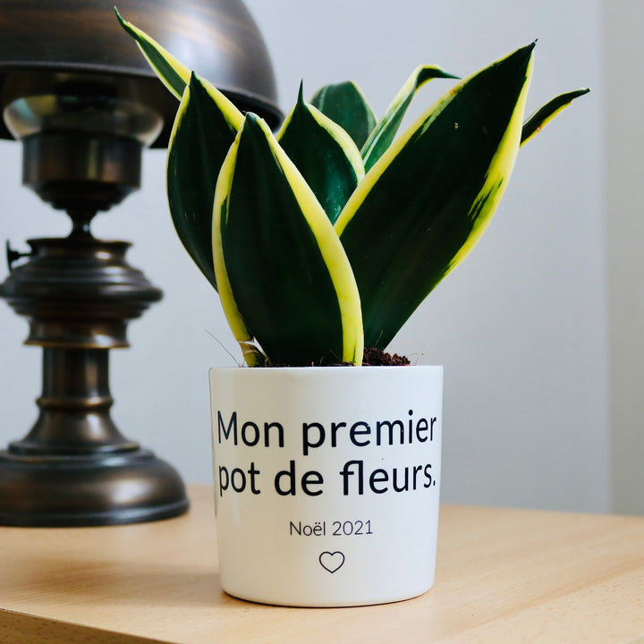pot de fleurs son premier pot de fleurs